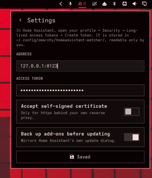 Setup — an address, a long-lived access token, two toggles