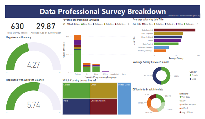 dashboard_data_professional_survey