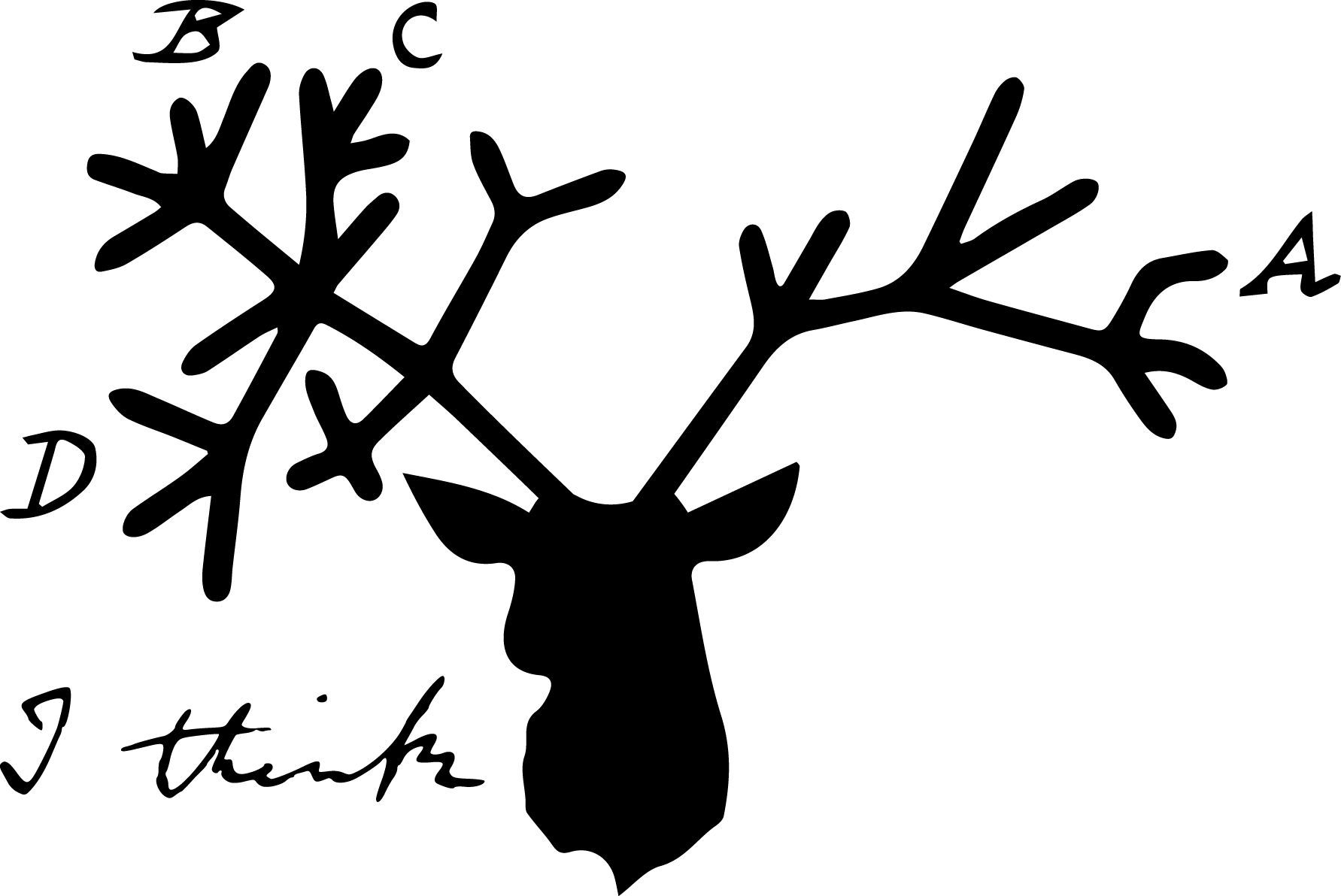 STAG logo