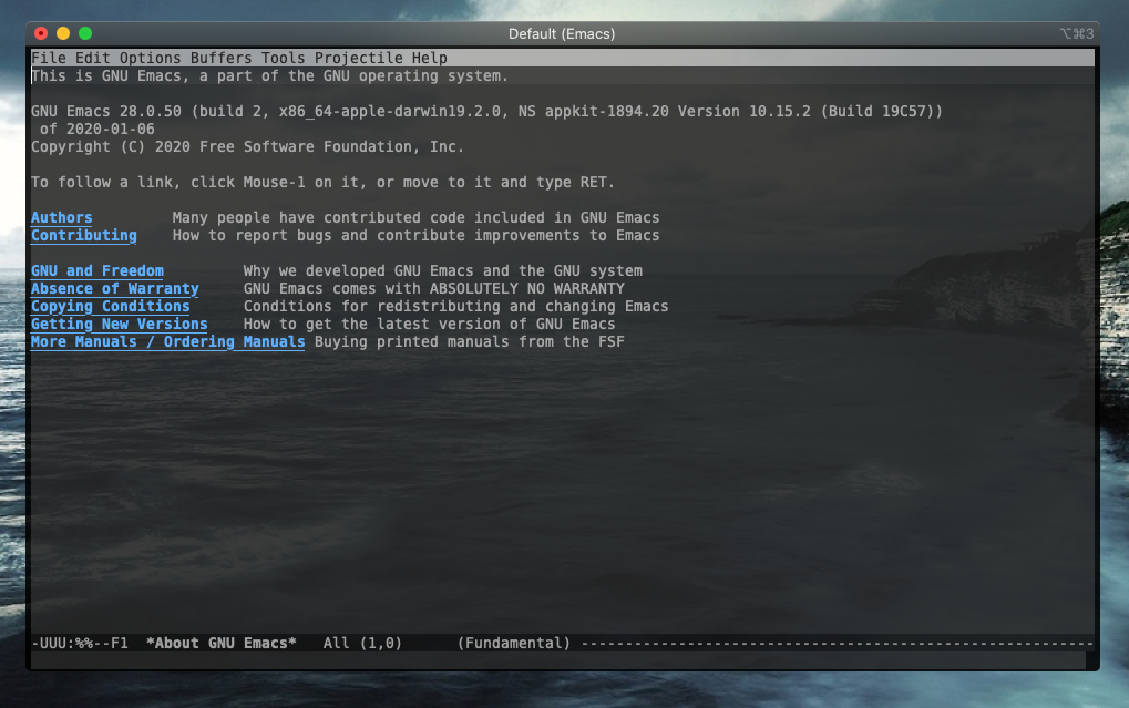 /images/emacs-head-terminal.png