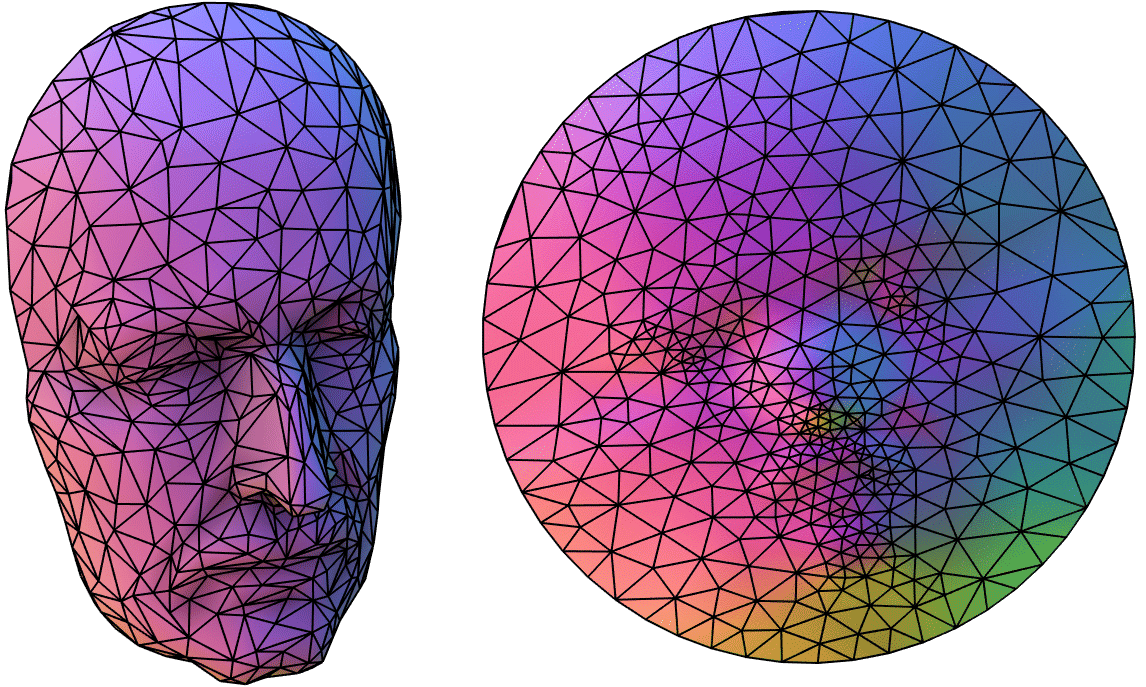The face of Max Planck is parameterized using a mass-spring system. More and more vertices are fixed explicitly along the boundary. With only a few fixed vertices there are severe overlaps and degeneracies in the interior. When the entire boundary is fixed to the circle, there are no overlaps.