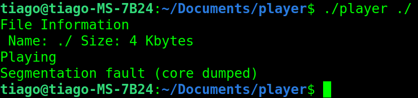 Output when using a directory as a input file