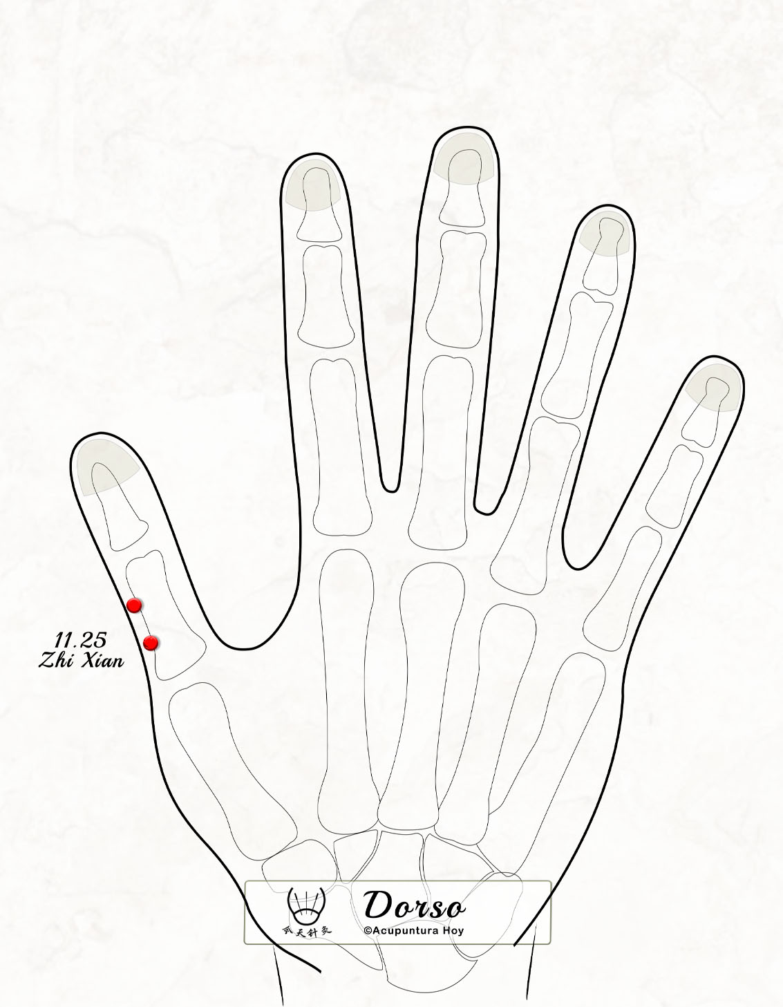 11.25 Zhi Xian 止涎穴