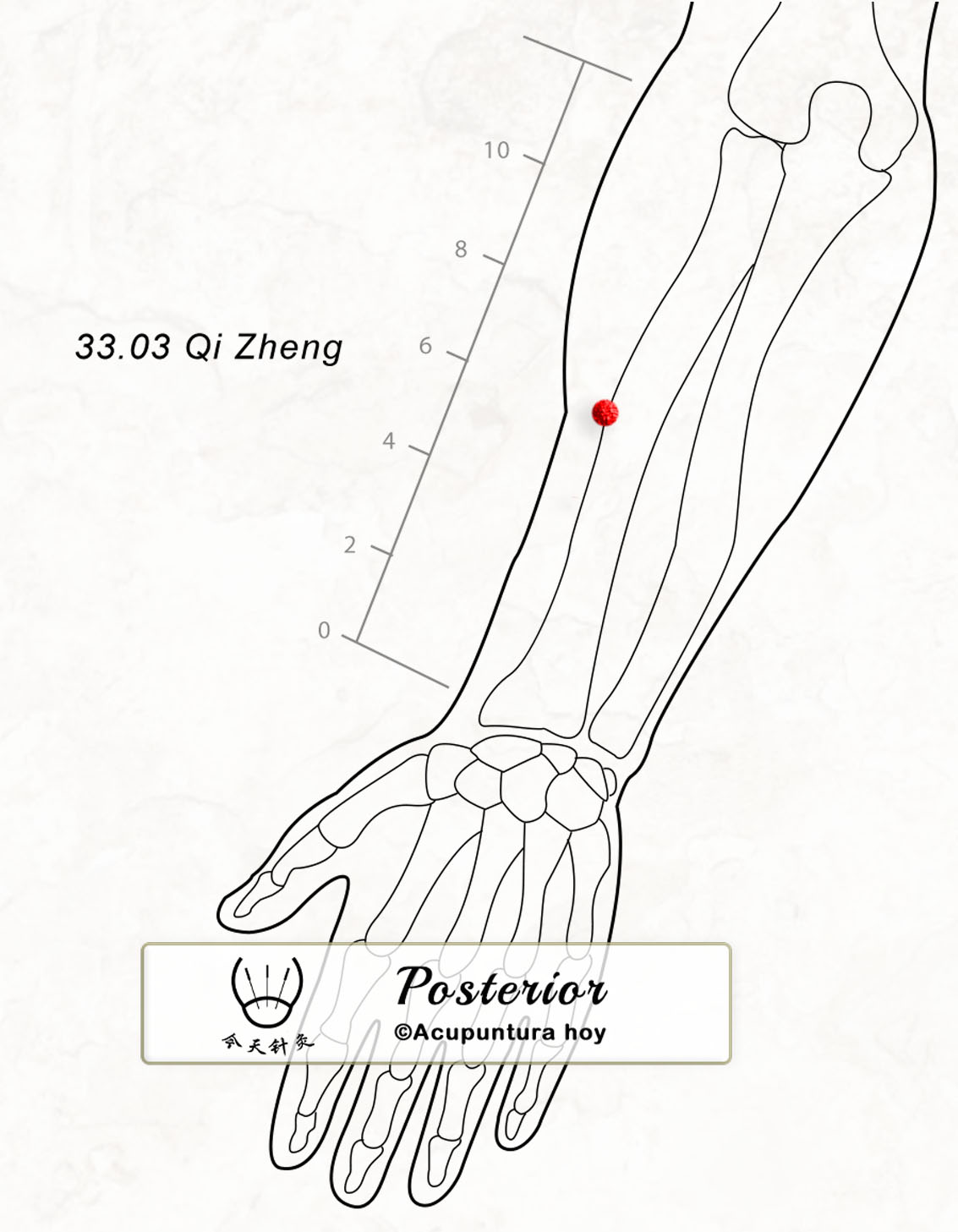 33.03 Qi Zheng 其正穴