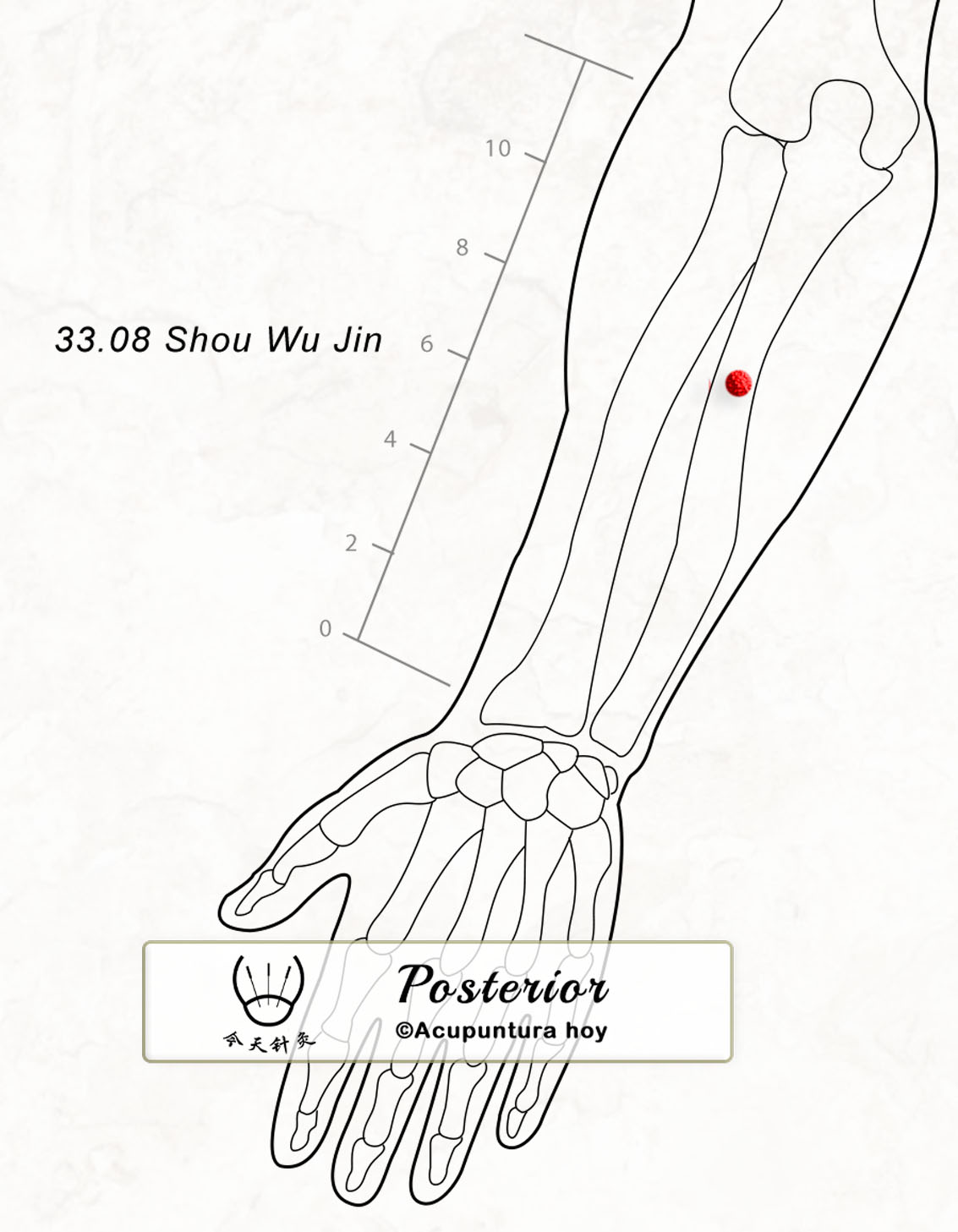 33.08 Shou Wu Jin 手五金穴