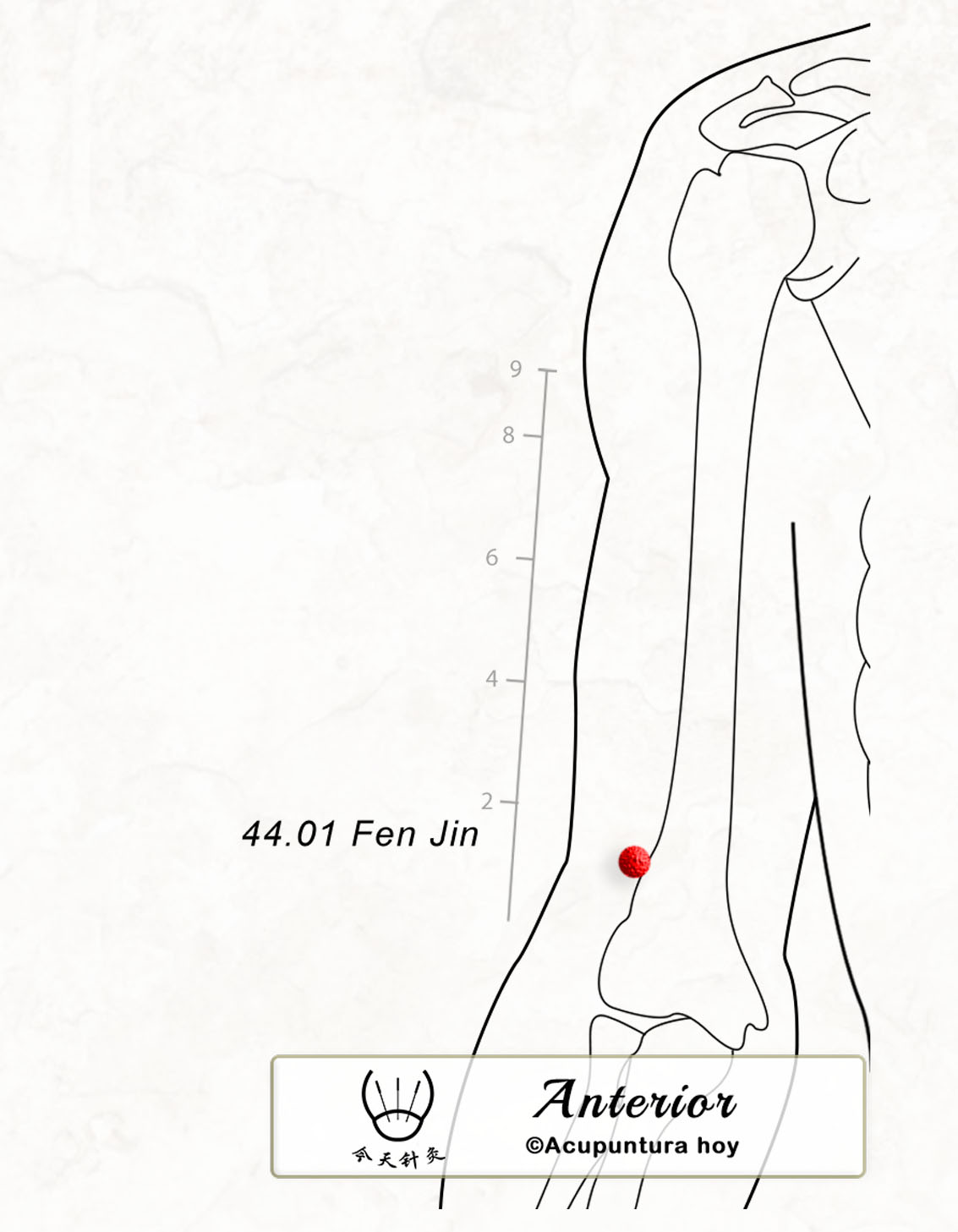 44.01 Fen Jin 分金穴