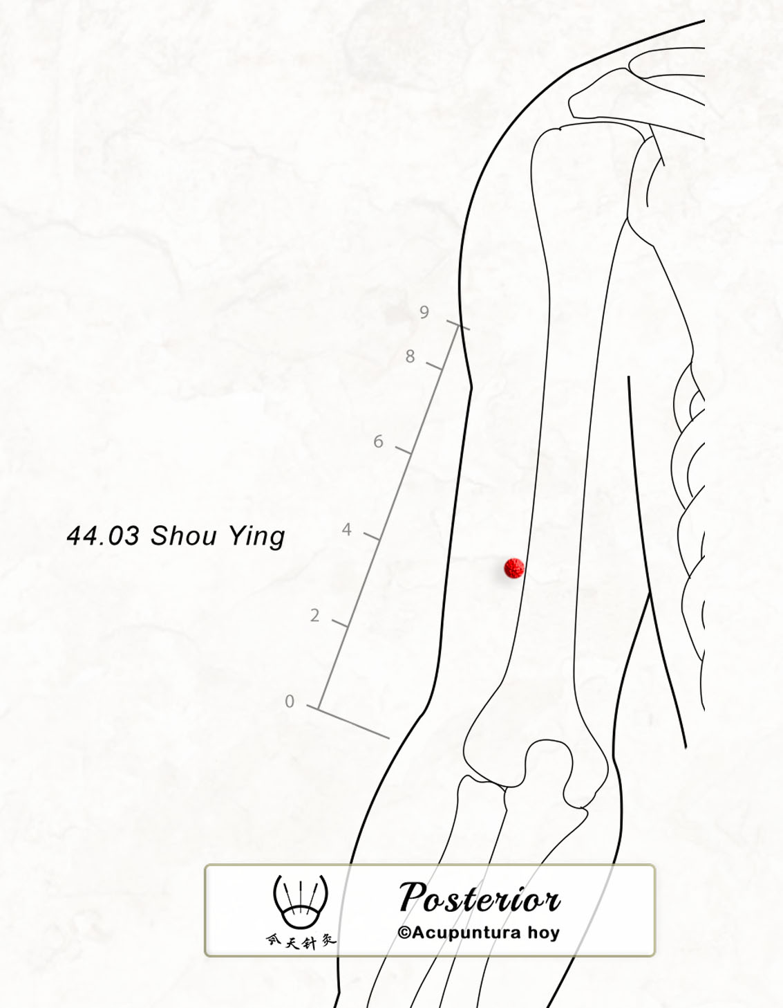 44.03 Shou Ying 首英穴