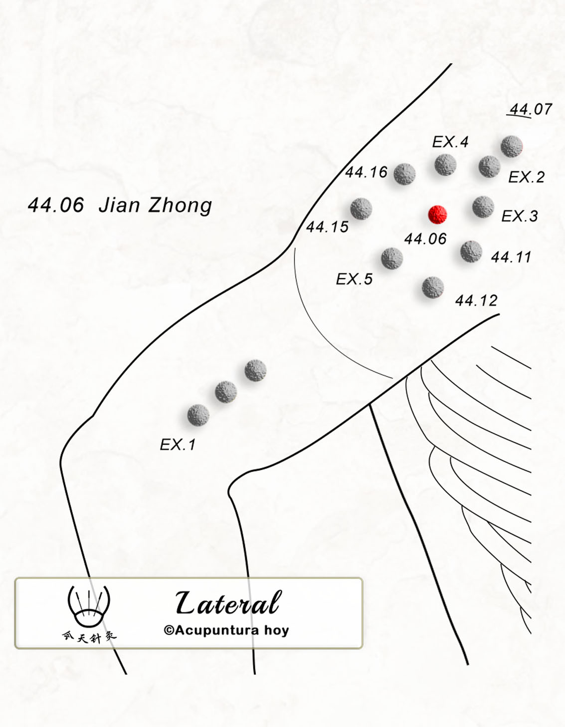 44.06 Jian Zhong 肩中穴