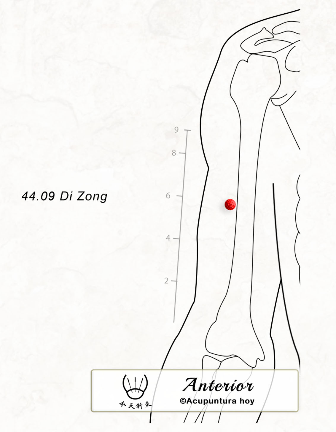 44.09 Di Zong 地宗穴