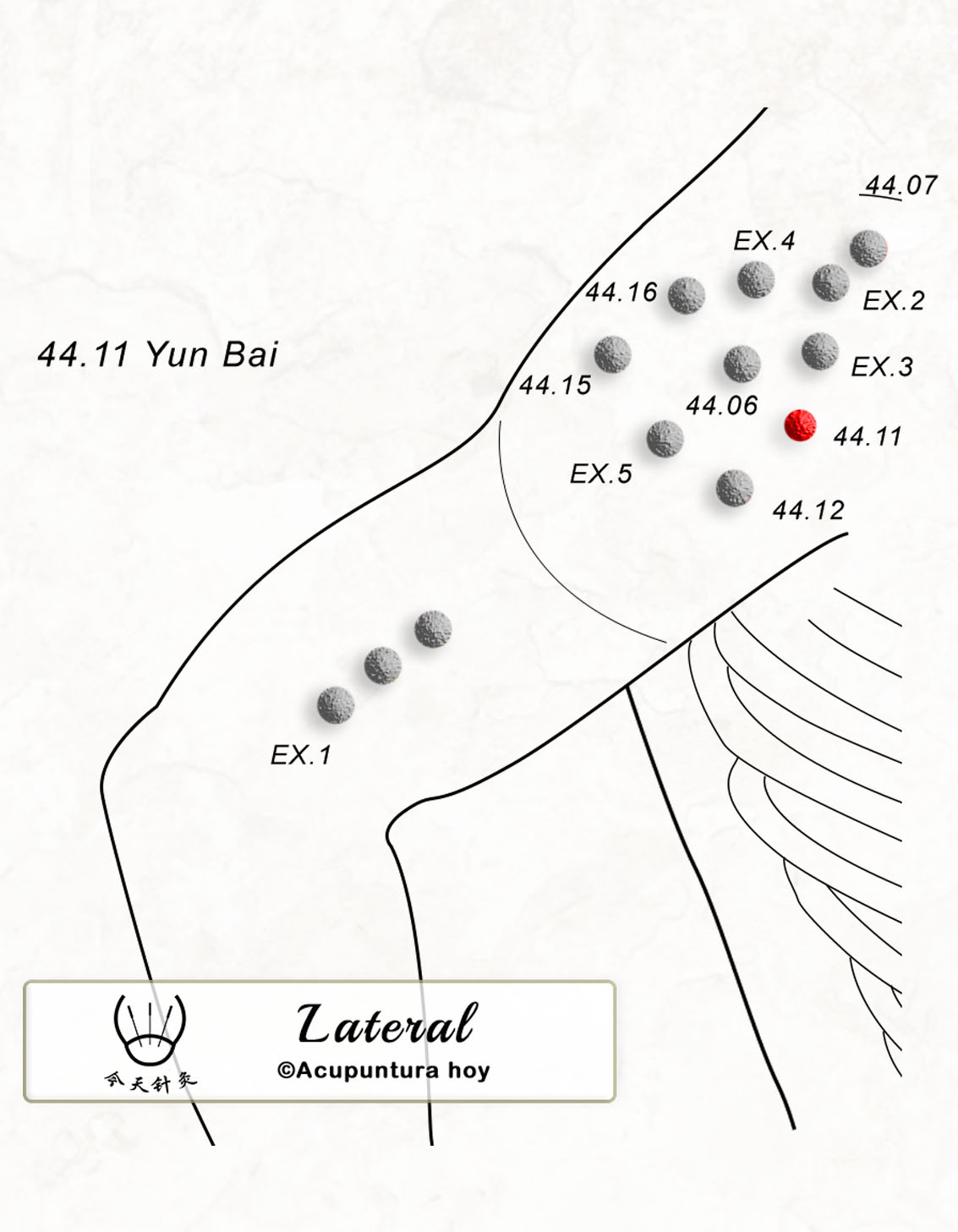 44.11 Yun Bai 云白穴