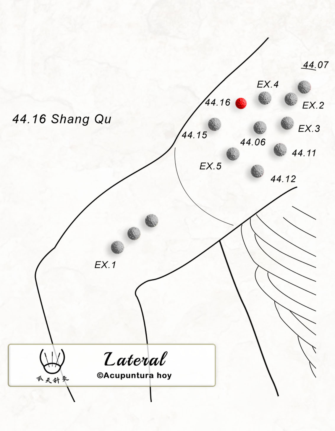 44.16 Shang Qu 上曲穴