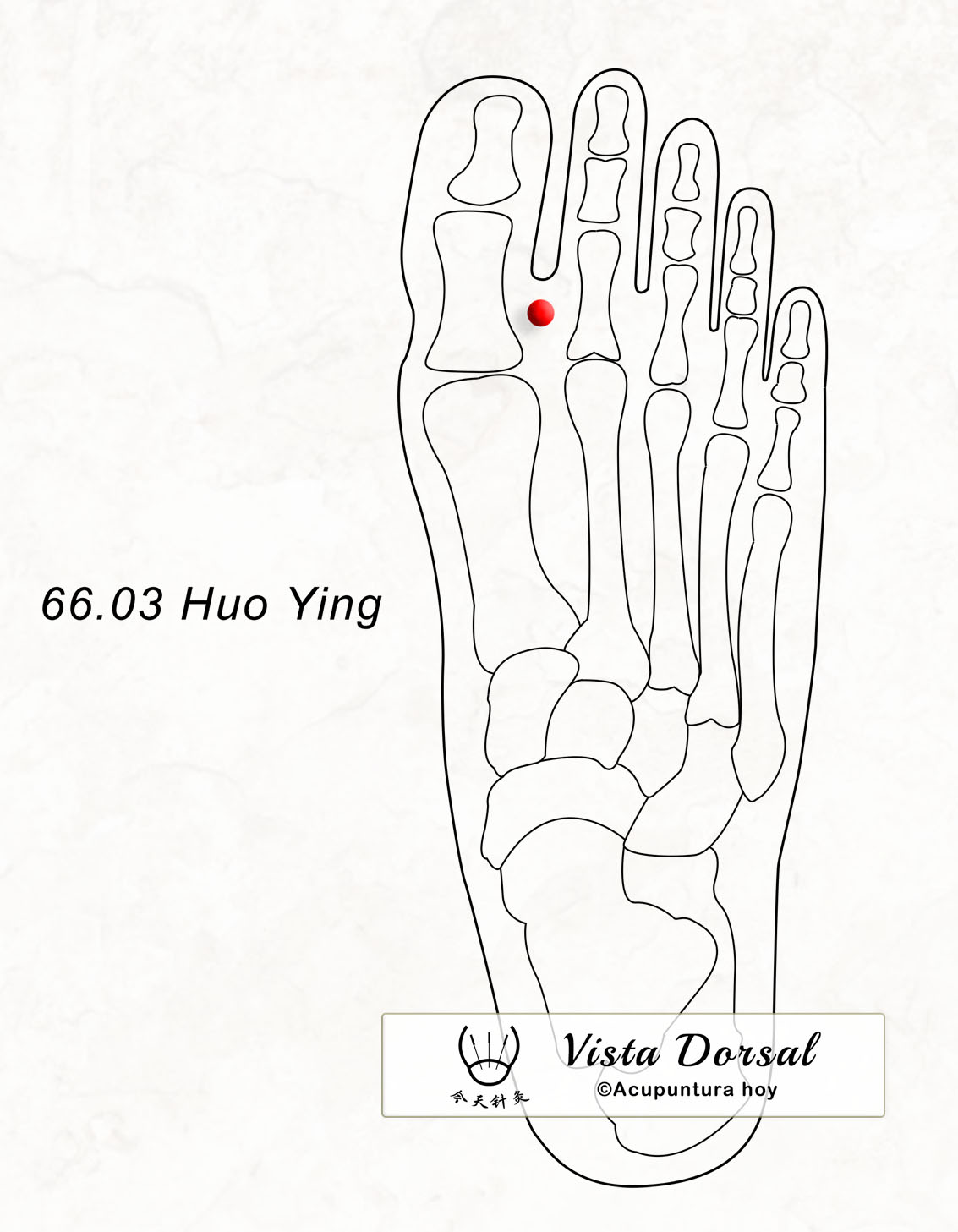 66.03 Huo Ying 火硬穴