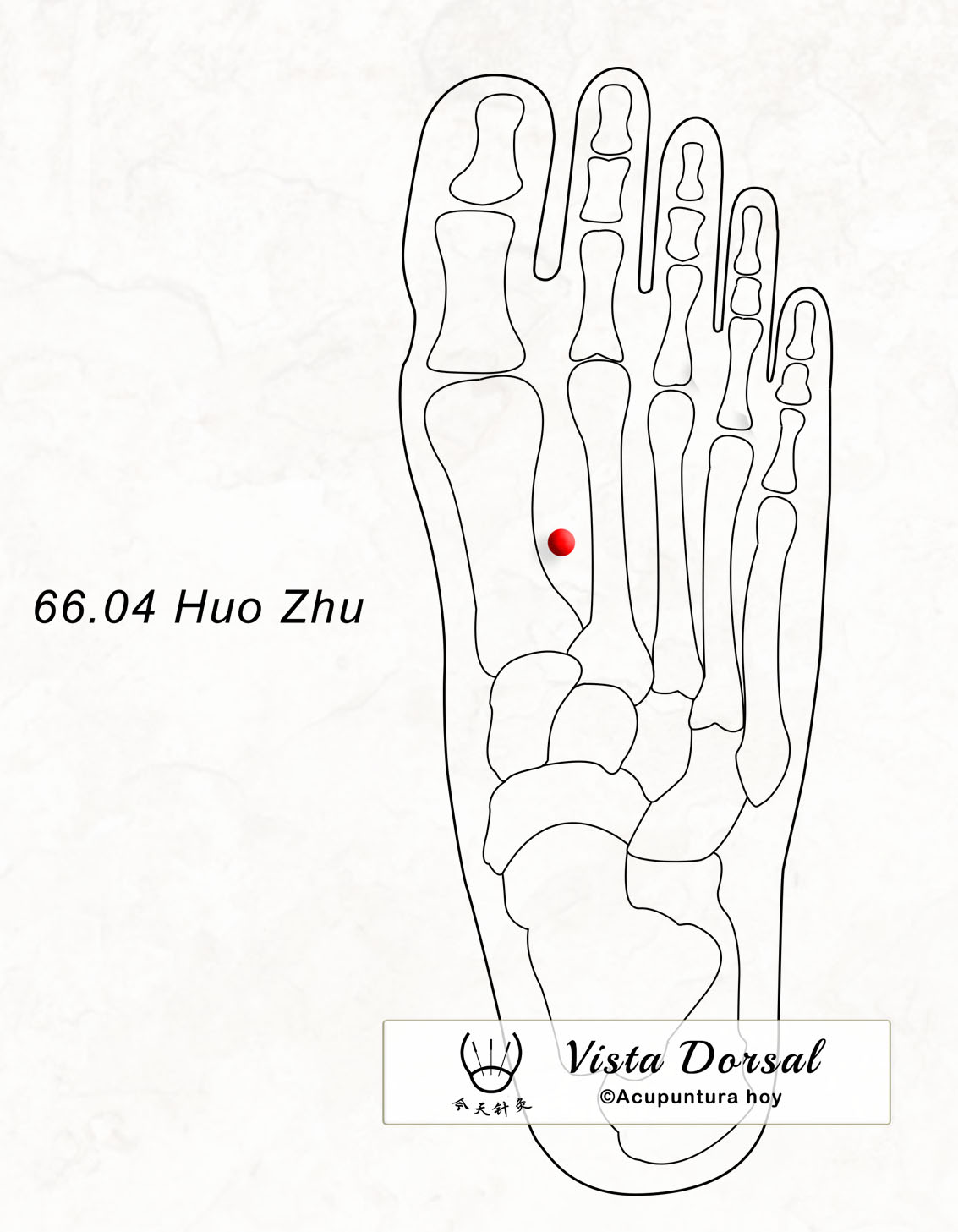 66.04 Huo Zhu 火主穴