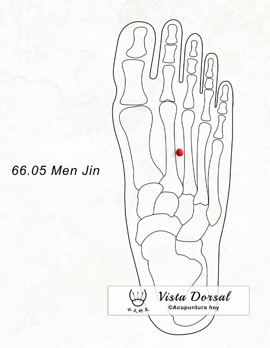 66.05 Men Jin 门金穴