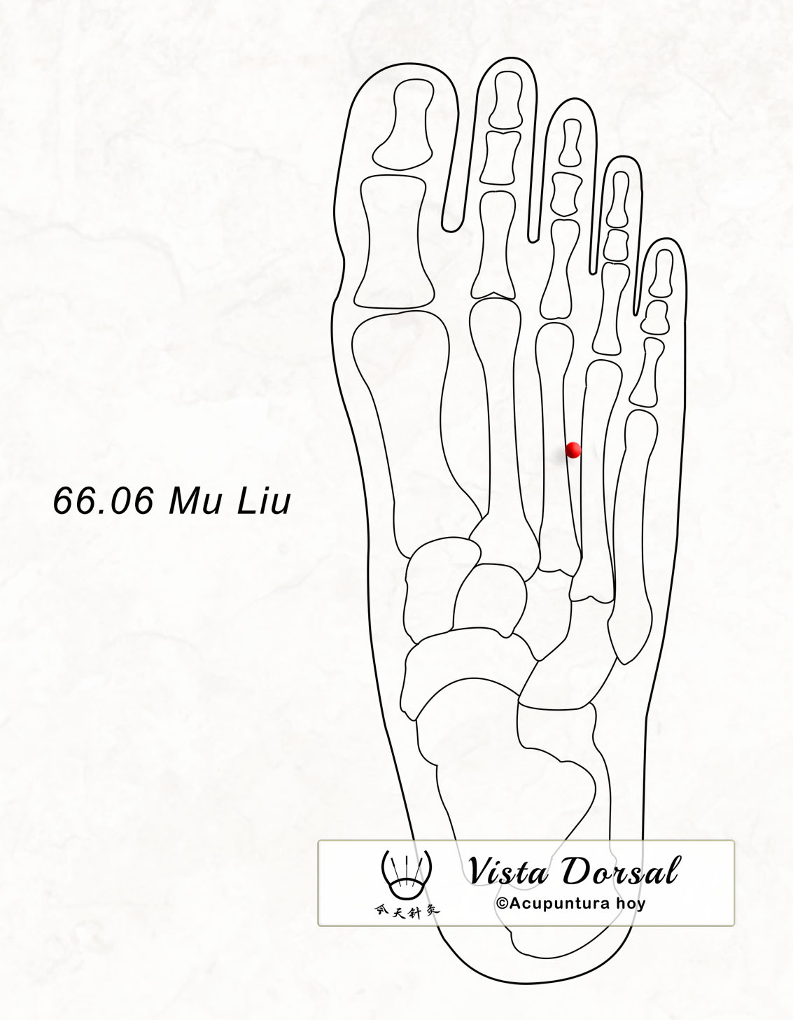 66.06 Mu Liu 木留穴
