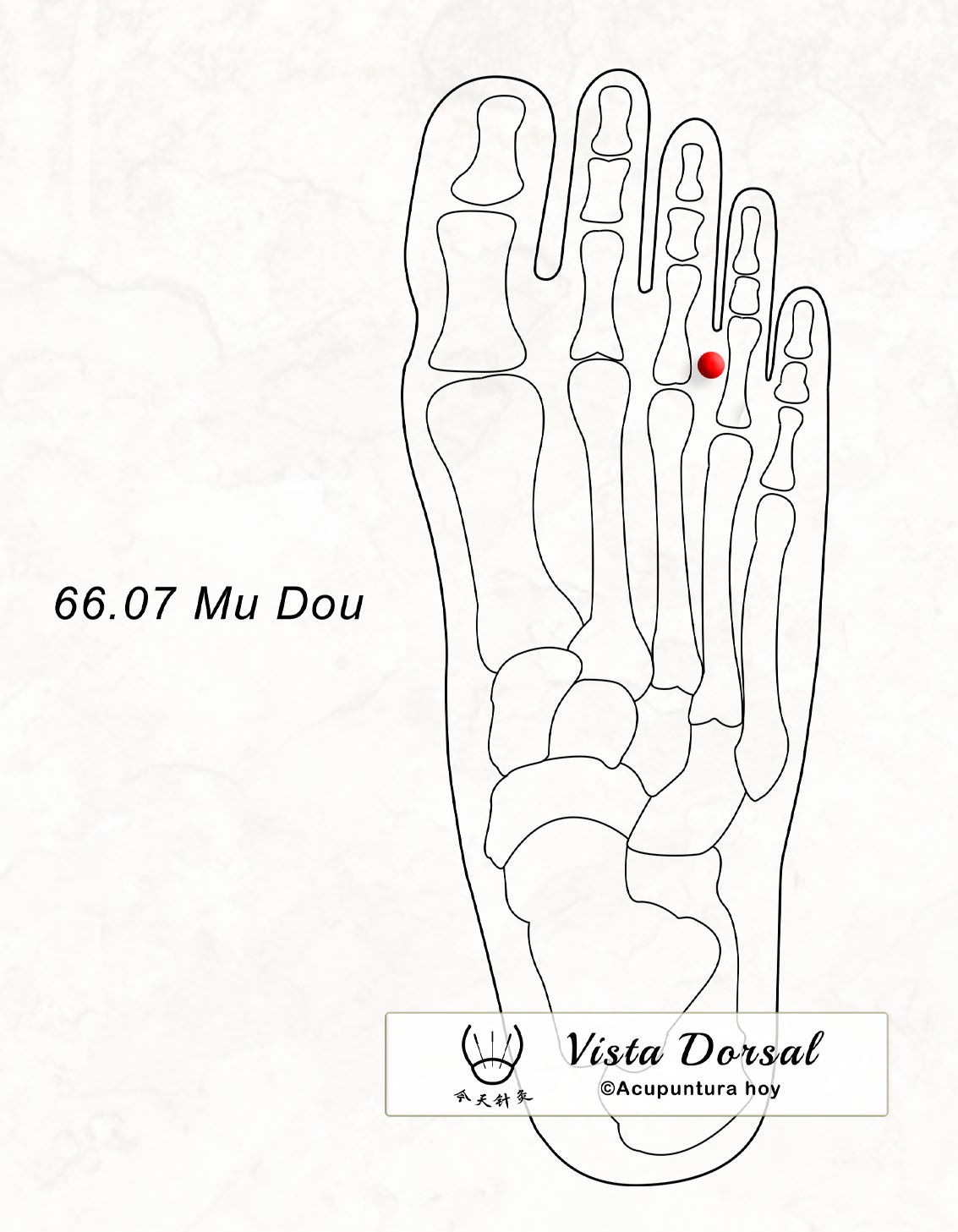 66.07 Mu Dou 木斗穴