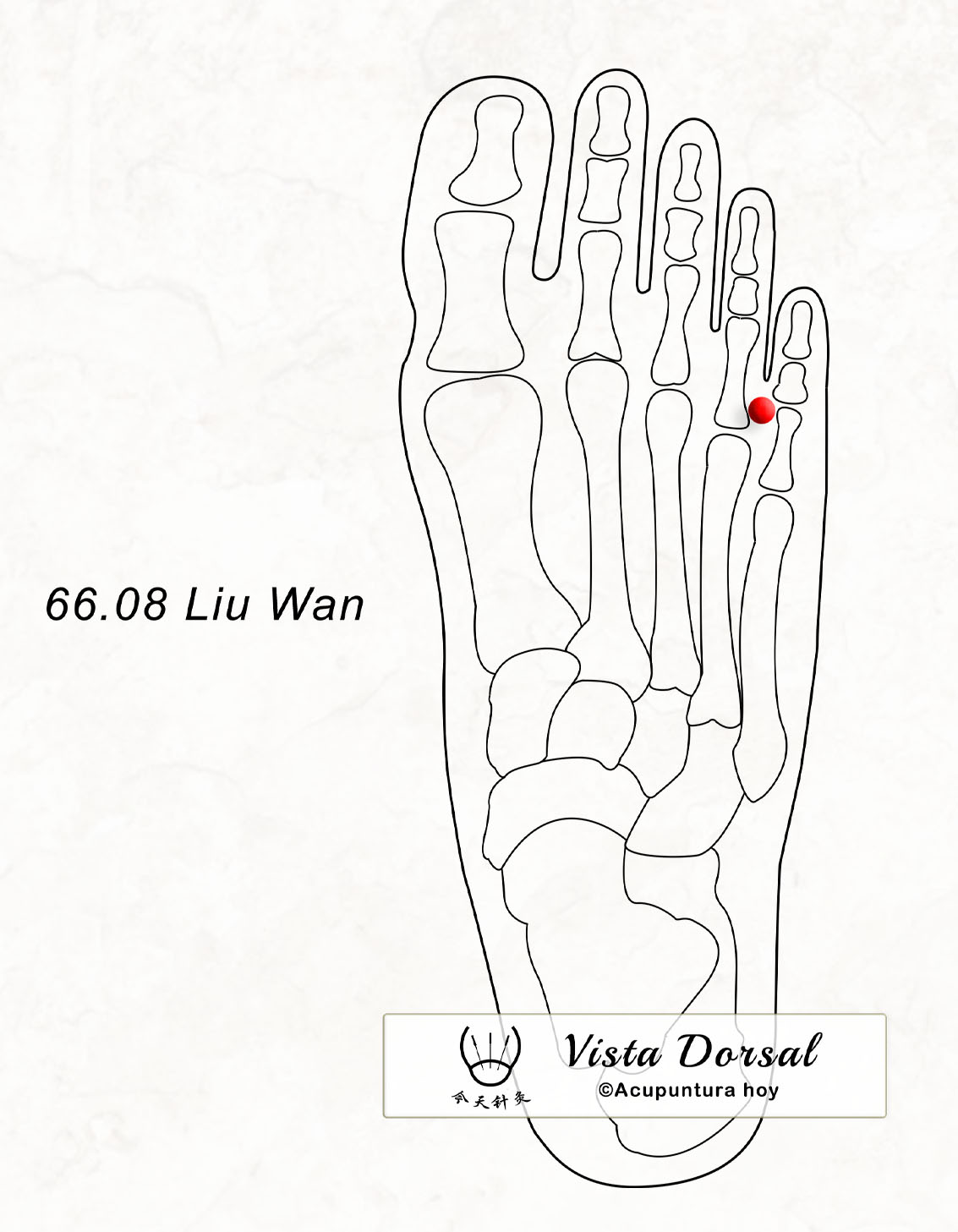 66.08 Liu Wan 六完穴