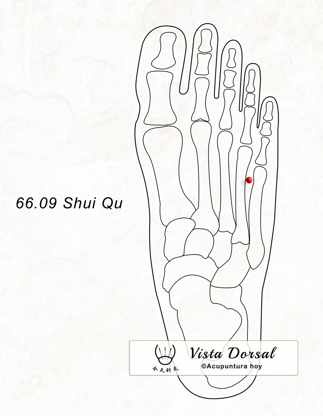 66.09 Shui Qu 水曲穴