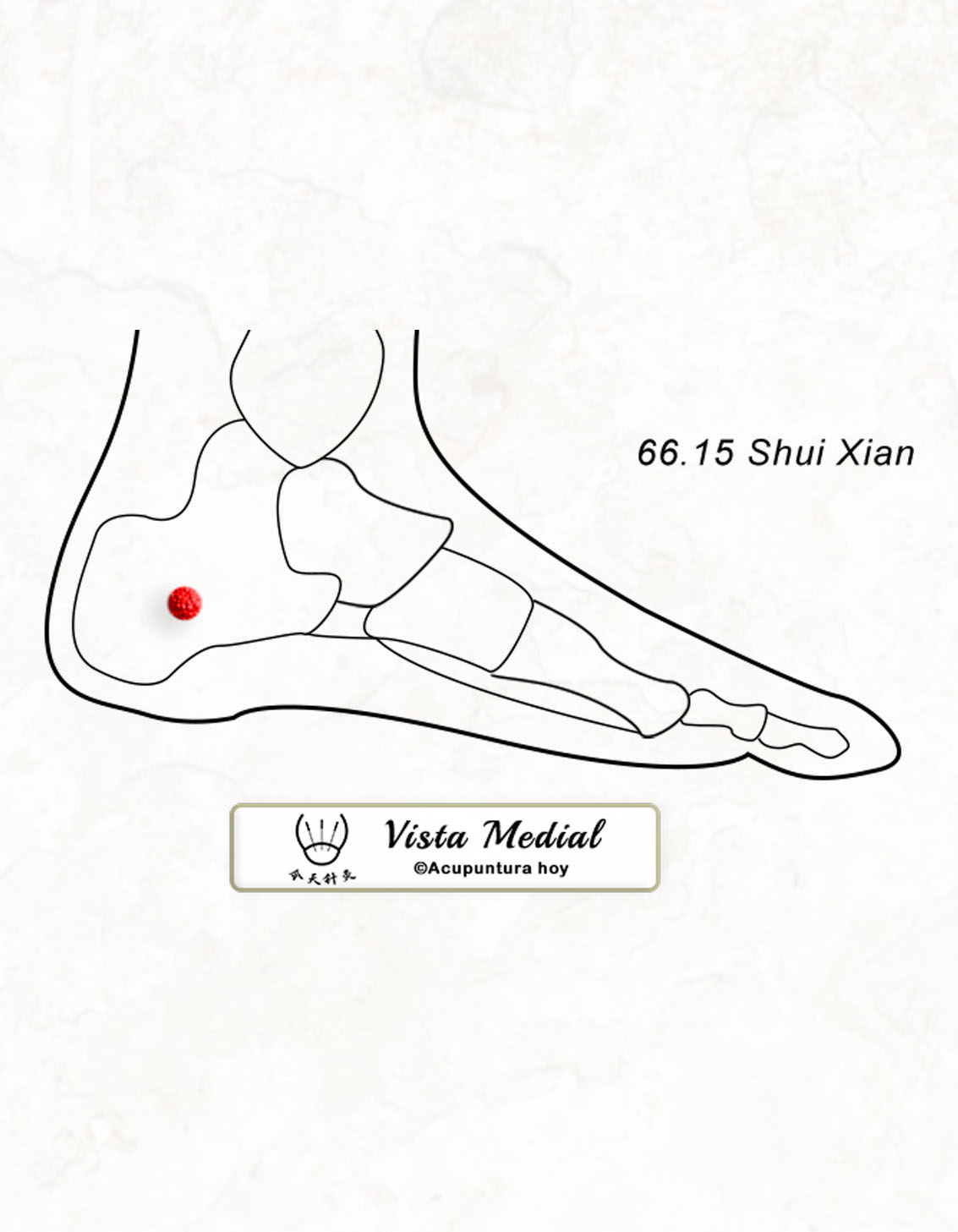 66.15 Shui Xian 水仙穴