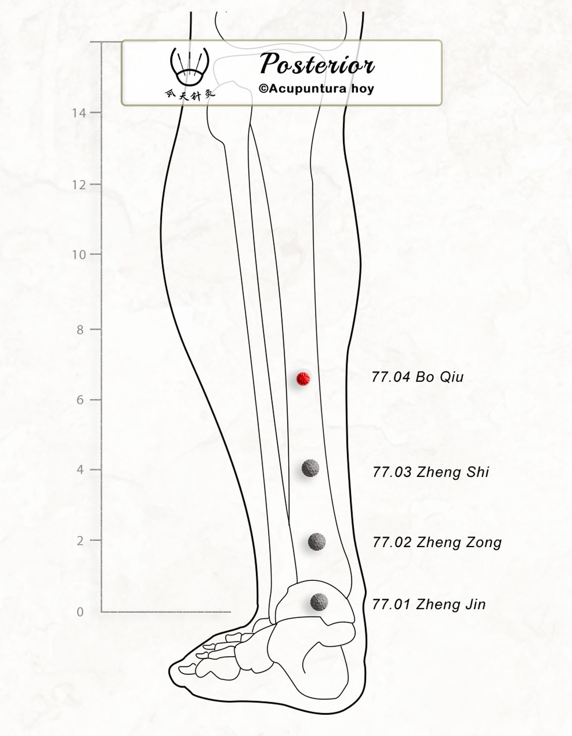 77.04 Bo Qiu 搏球穴