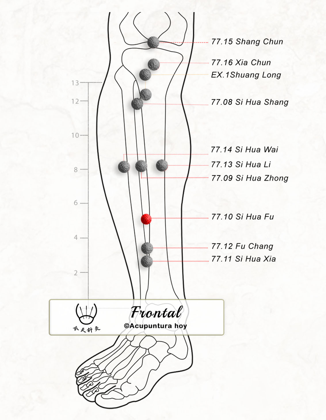 77.10 Si Hua Fu 四花副穴