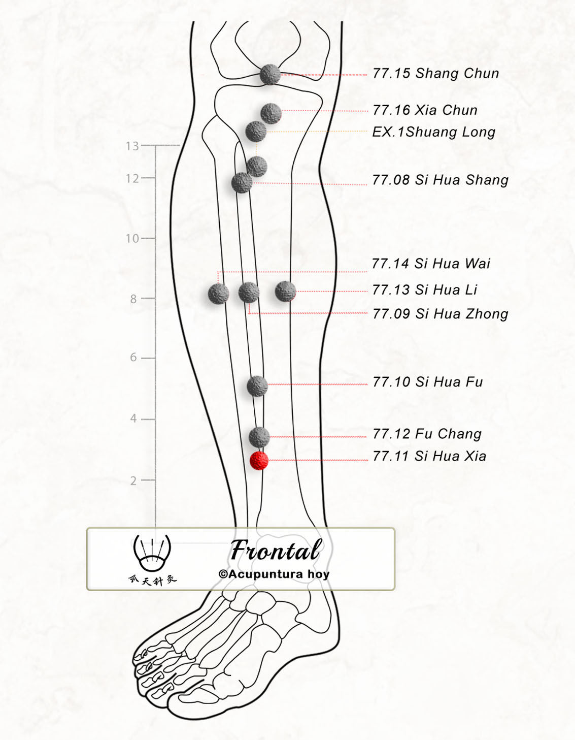 77.11 Si Hua Xia 四花下穴
