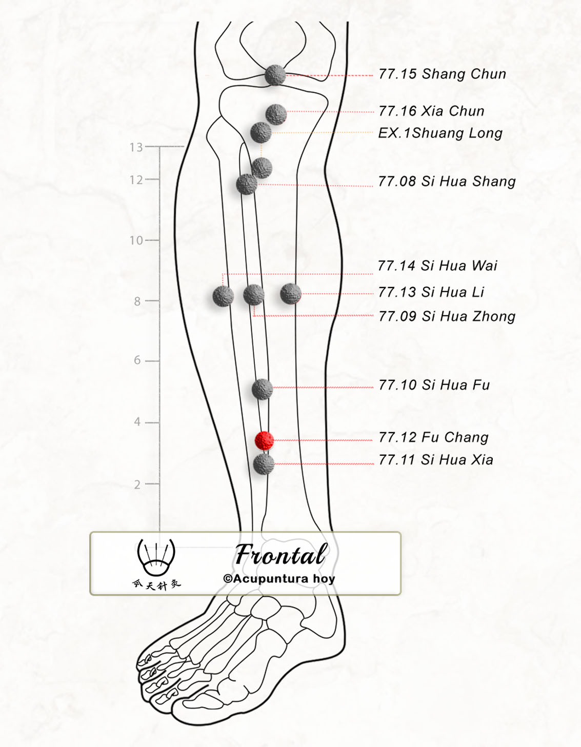 77.12 Fu Chang 腑肠穴