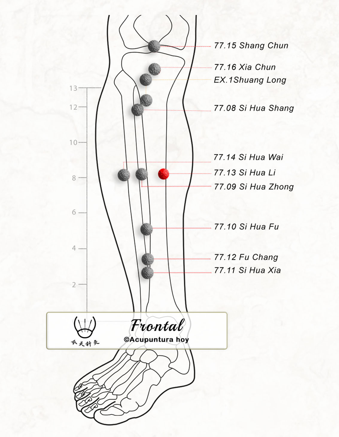 77.13 Si Hua Li 四花里穴