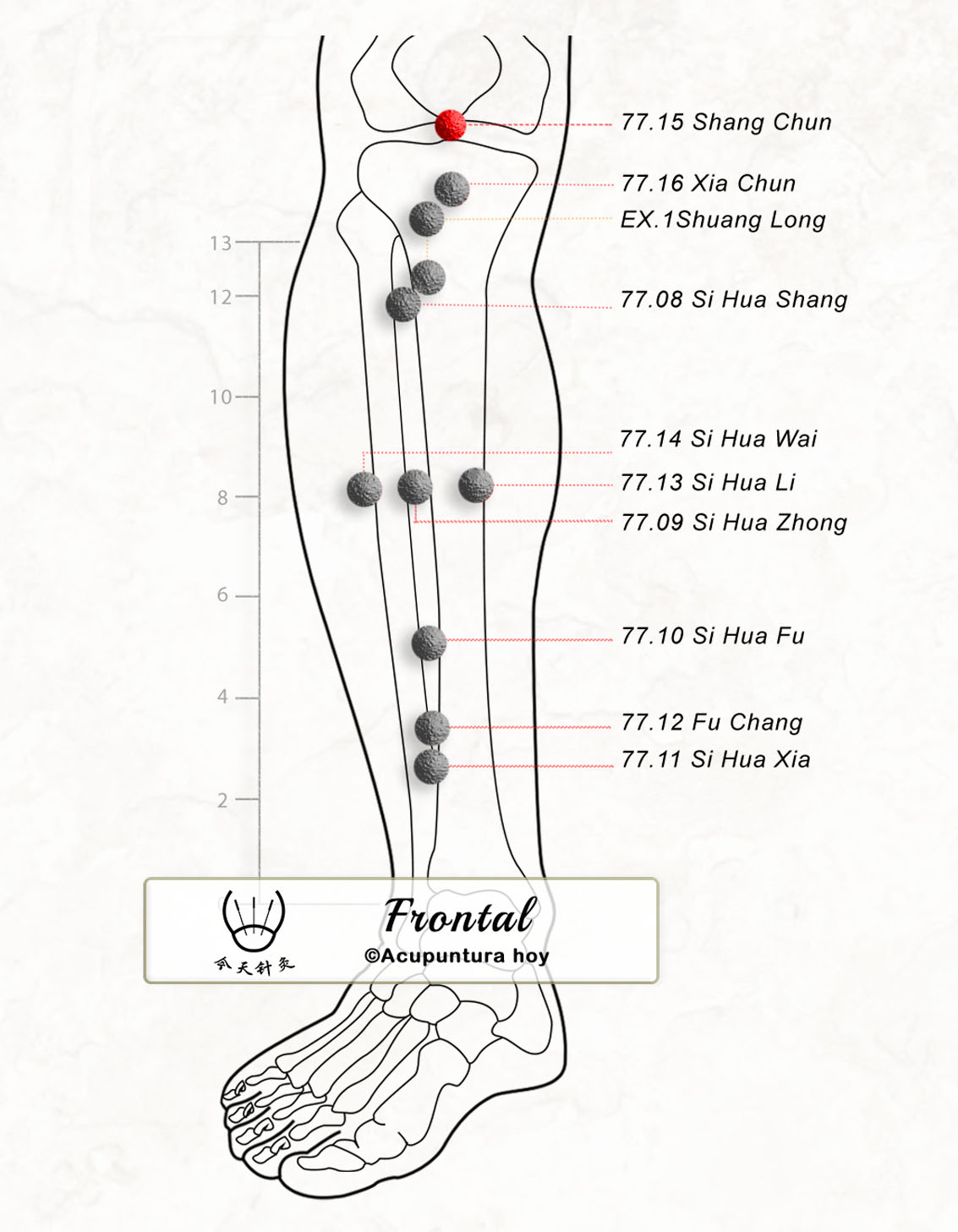 77.15 Shang Chun 上唇穴