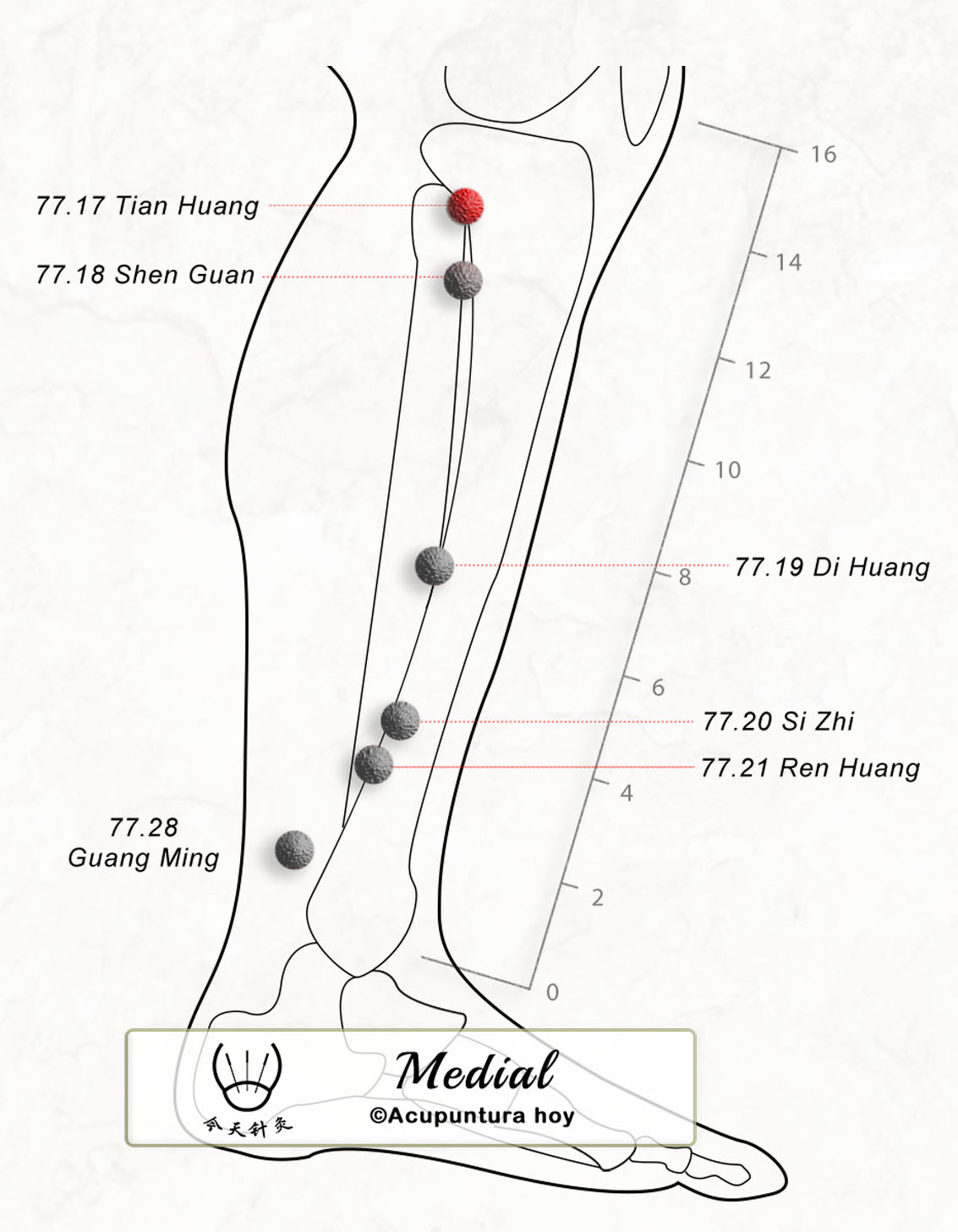 77.17 Tian Huang 天皇穴