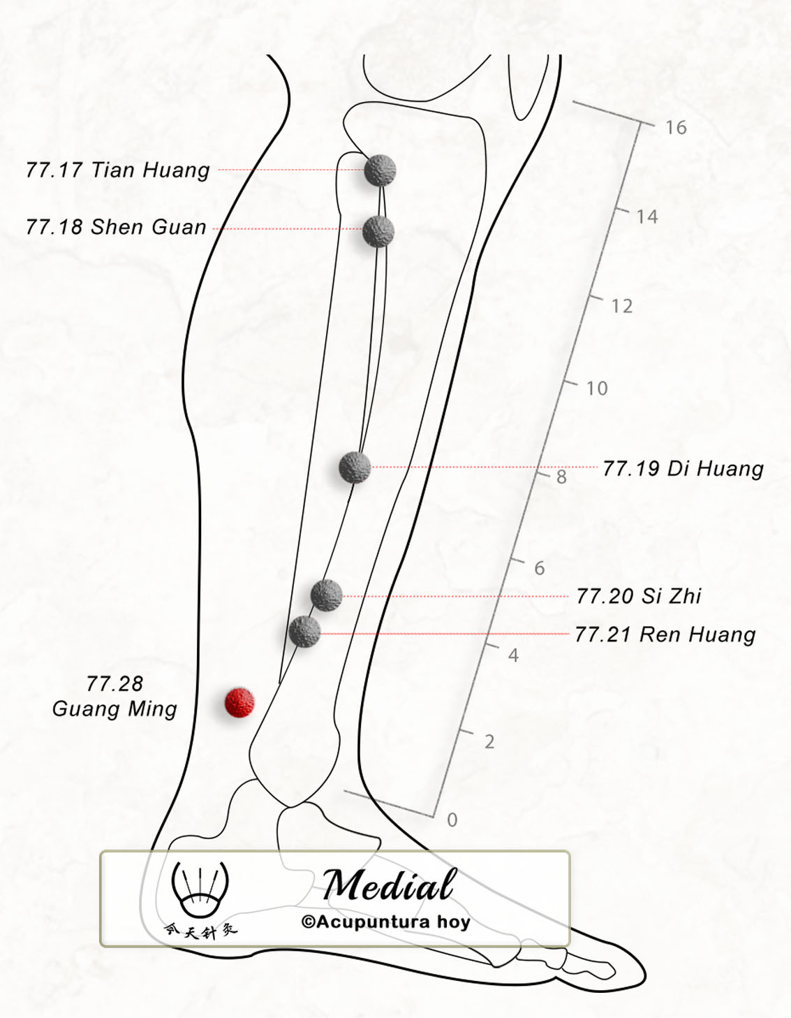 77.28 Guang Ming 光明穴