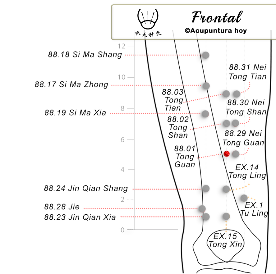 88.01 Tong Guan 通闗穴