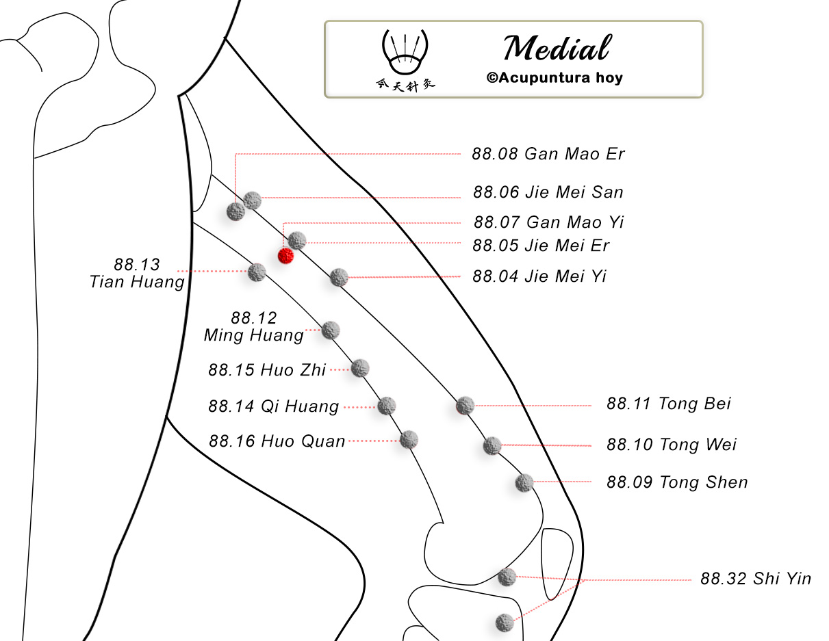 88.07 Gan Mao Yi 感冒一穴