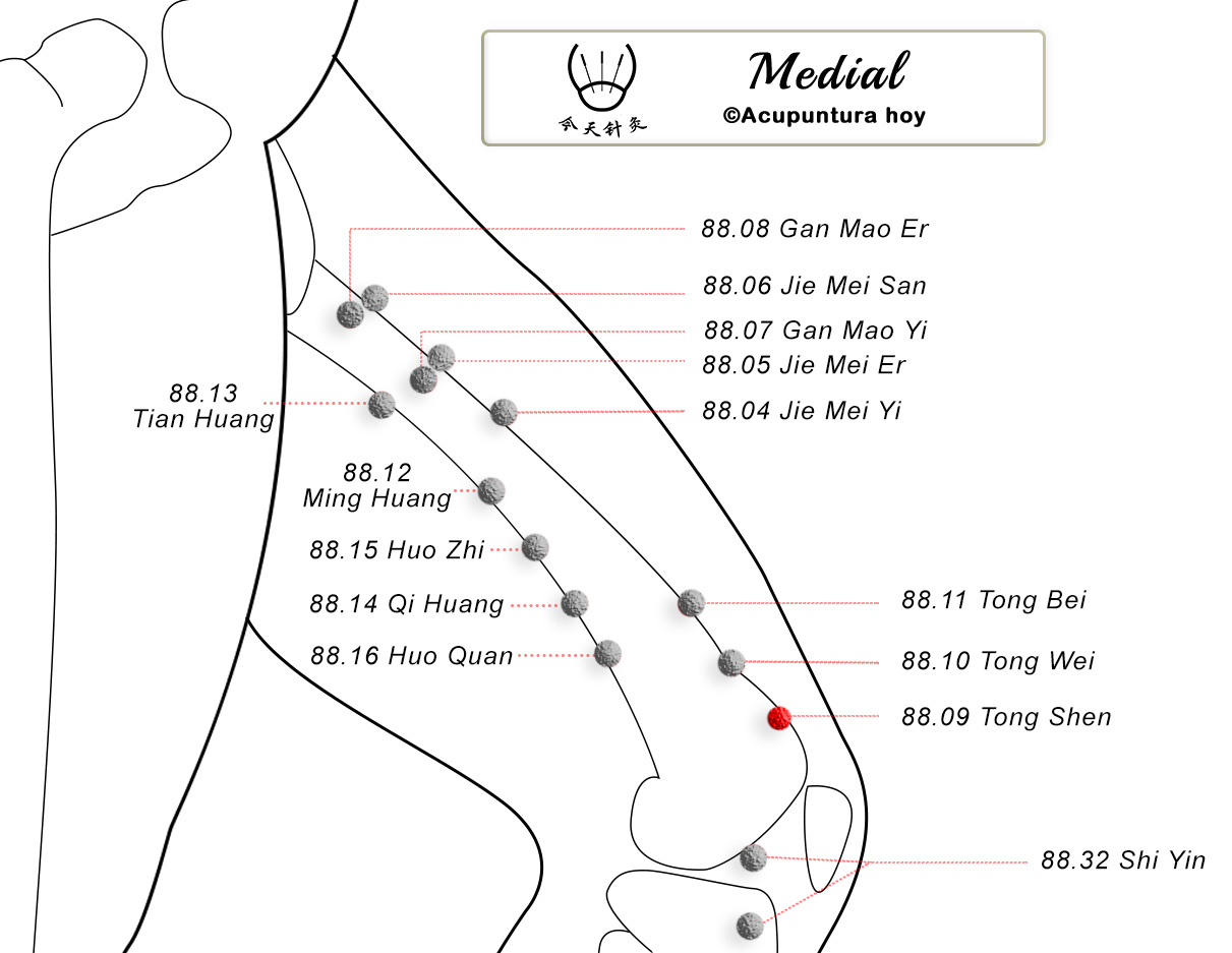 88.09 Tong Shen 通肾穴