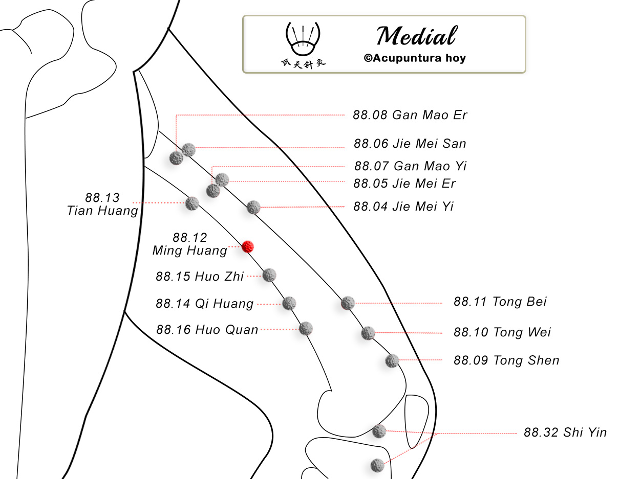88.12 Ming Huang 明黄穴