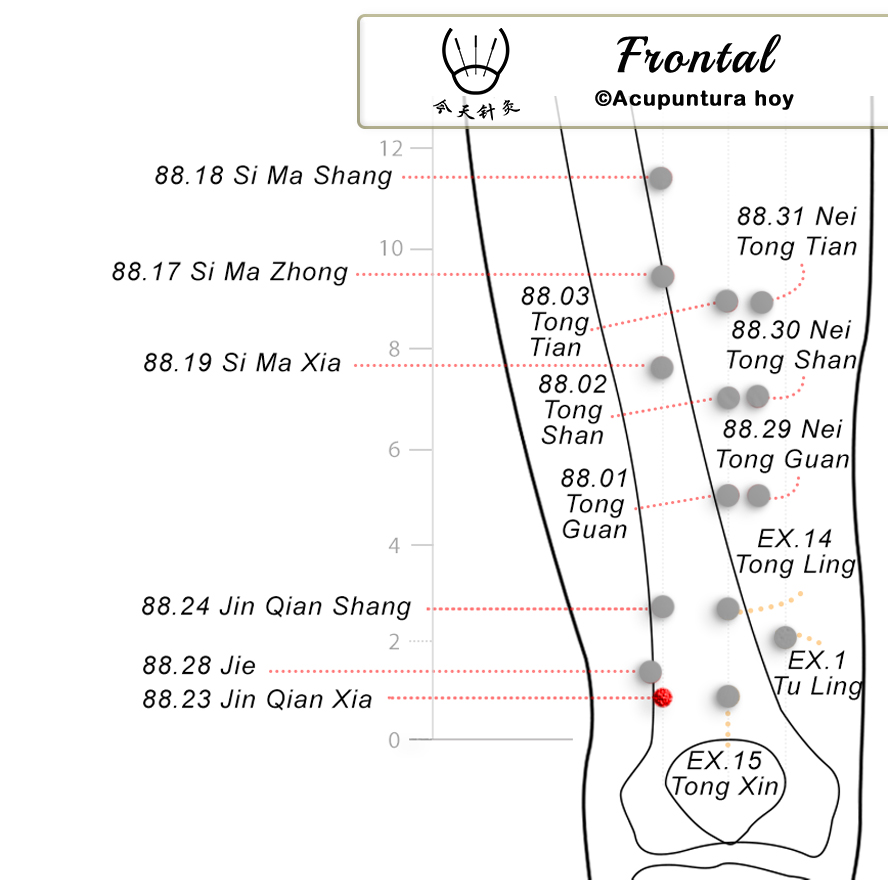 88.23 Jin Qian Xia 金前下穴