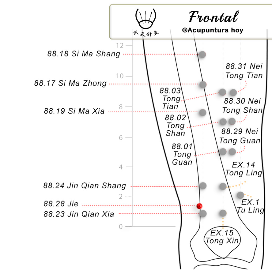 88.28 Jie 解穴