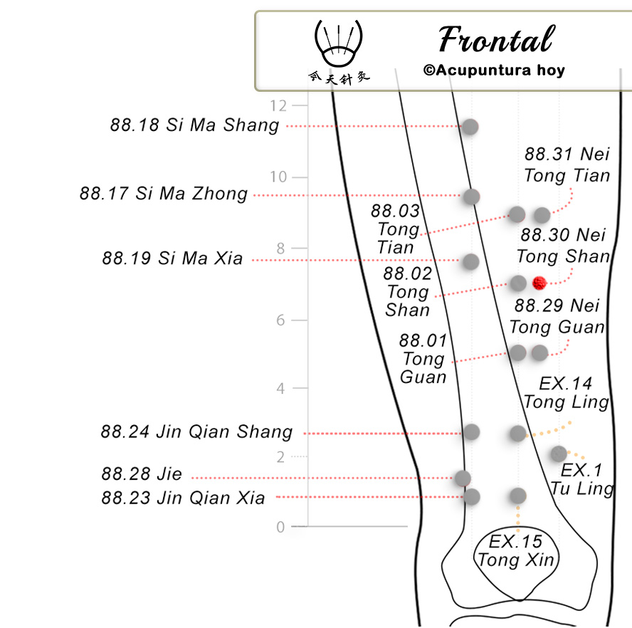 88.30 Nei Tong Shan 内通山穴