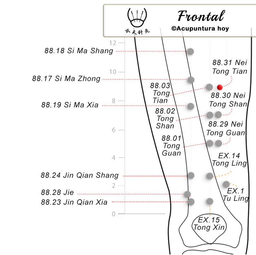 88.31 Nei Tong Tian 内通天穴