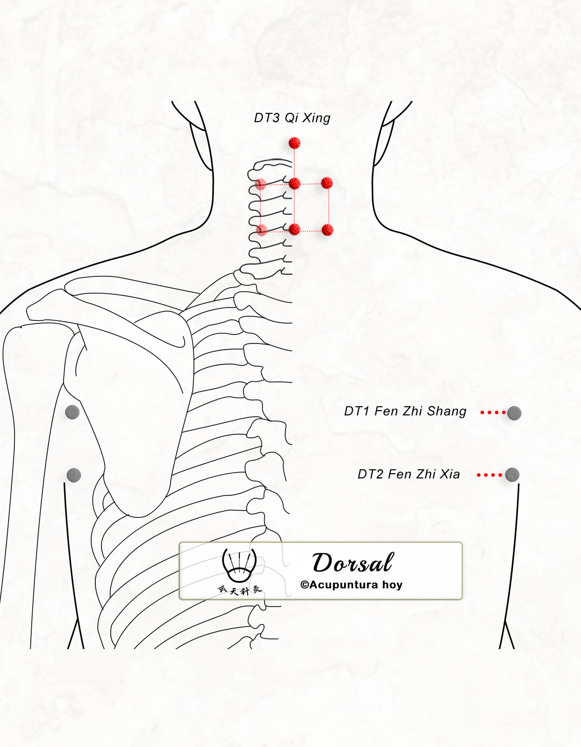 DT.03 Qi Xing 七星穴