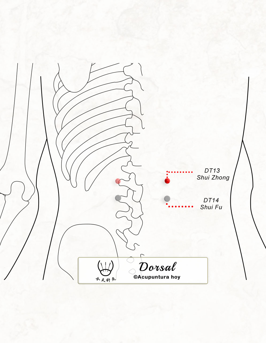 DT.13 Shui Zhong 水中穴