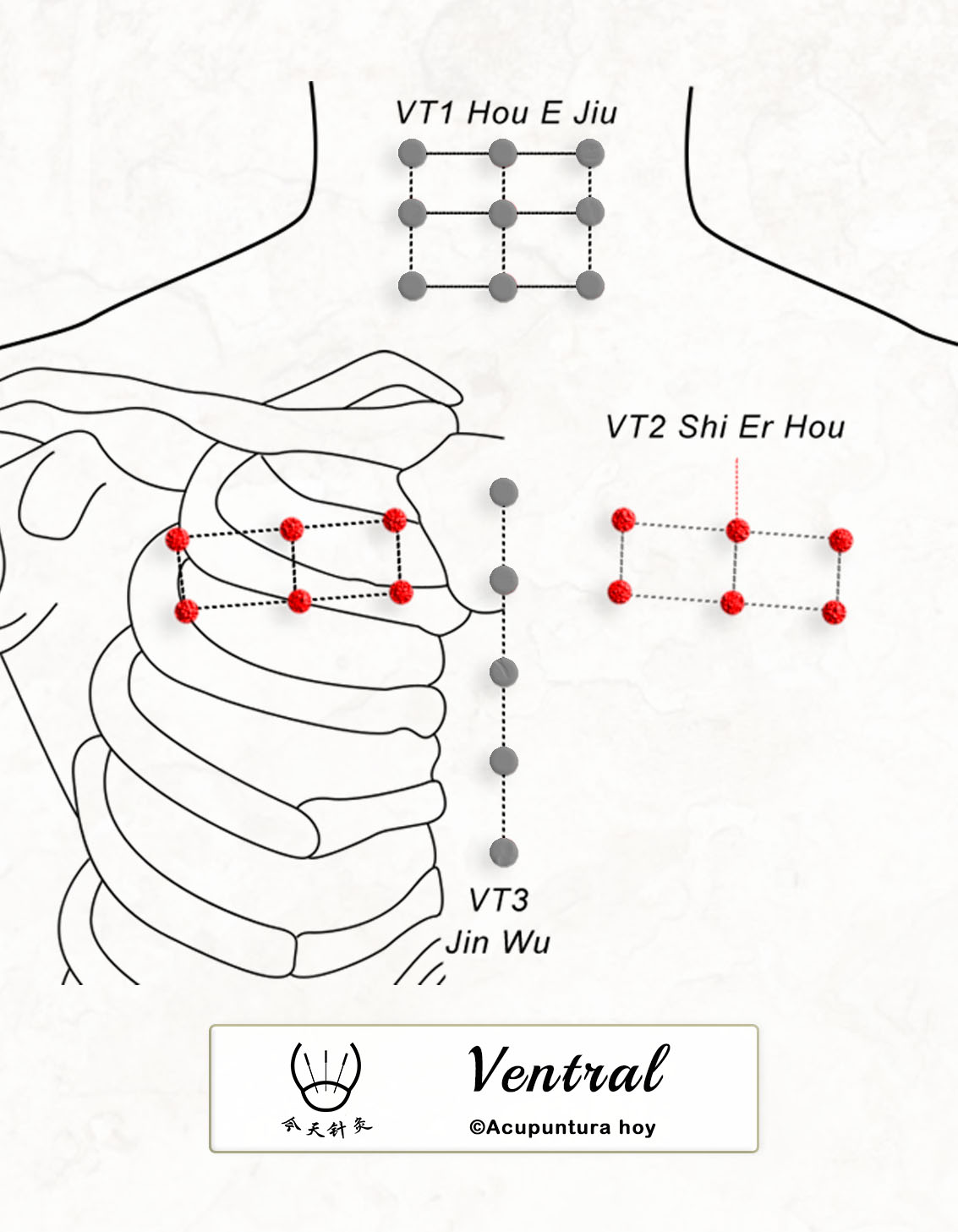 VT.02 Shi Er Hou 十二猴穴