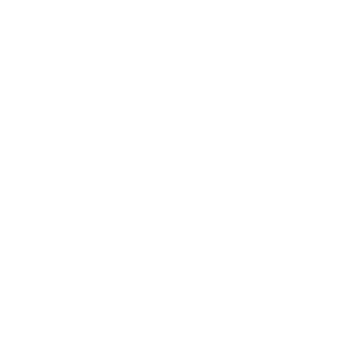 Slowinsurance Icon