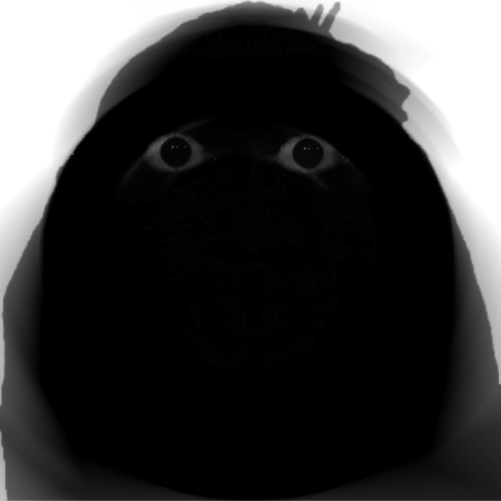 ANGRY MUCCI
