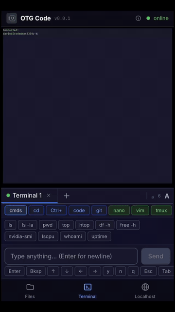 Terminal interface