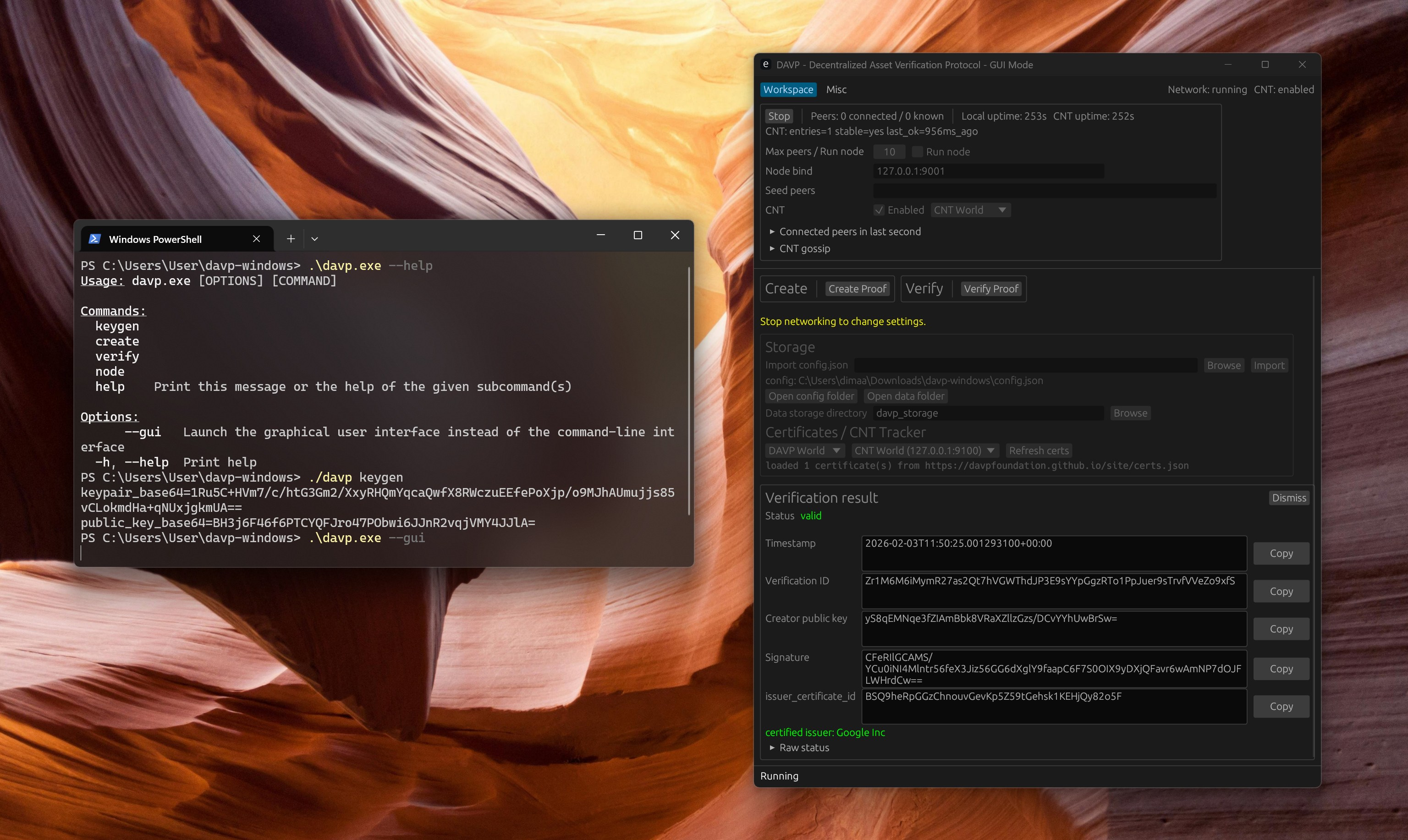 DAVP demonstration in GUI mode