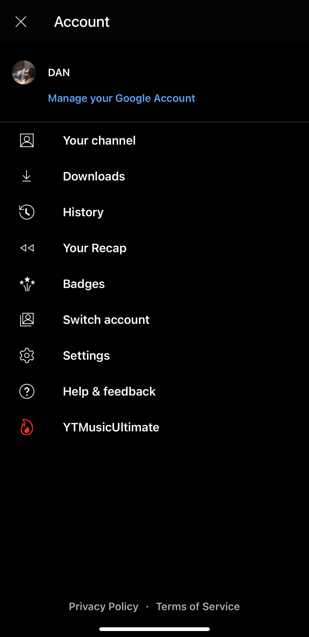Screenshot 2 of YouTube Music Ultimate (iOS14+)