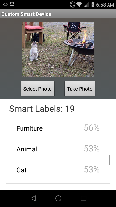 ./Examples/Images/android_smart_device_aws_rekognition_smart_labels_cat.png