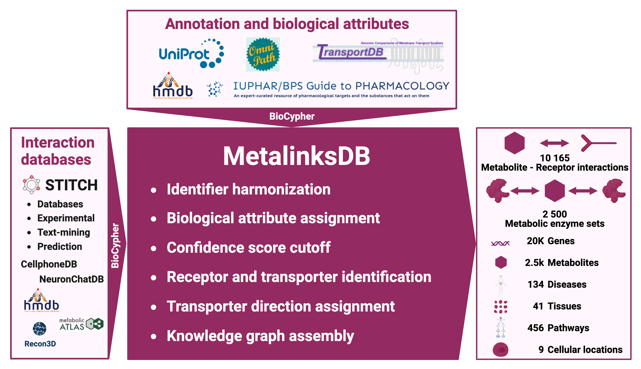 graphical abstract