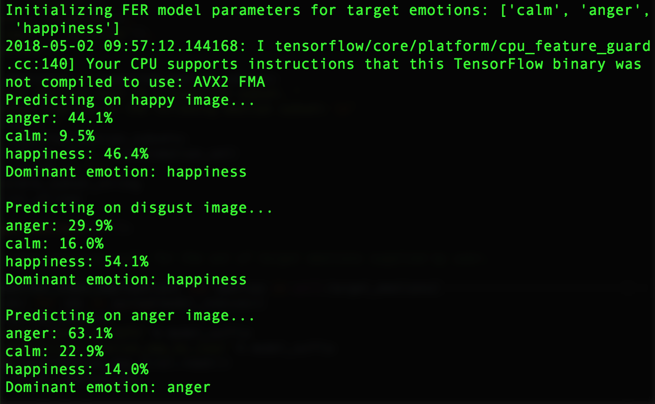 FERModel Training Output